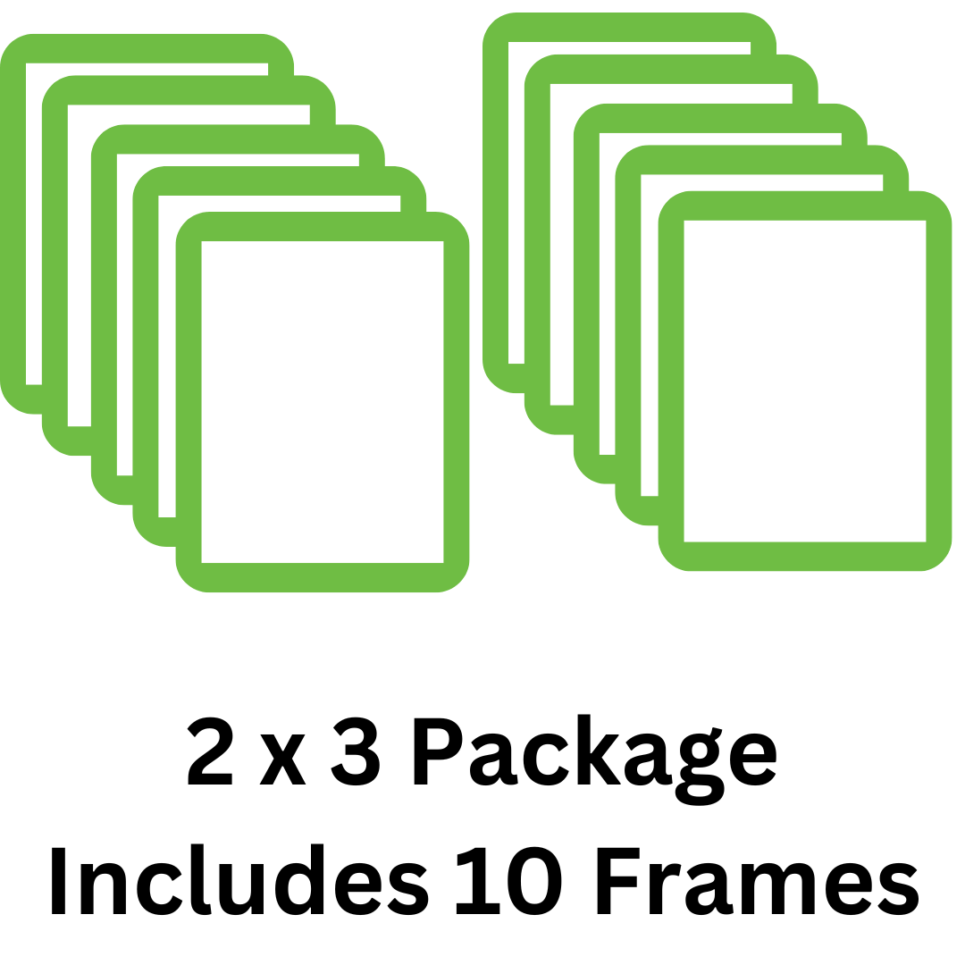 Lime Reusable Adhesive Frames