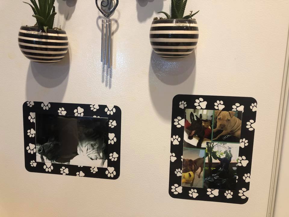 Fodeez® Frames: The Affordable and Stylish Solution for Small Space Living