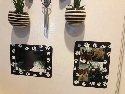 Fodeez® Frames: The Affordable and Stylish Solution for Small Space Living