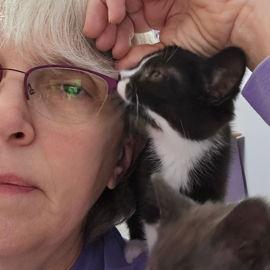 Fostering Love: Valerie King Discovered Fodeez® Frames to Help Find Homes