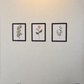 Letter-Size Adhesive Frames