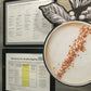 Dry Erase Self-Stick Adhesive Signage for the Food Service Industry