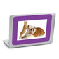 2 x 3 Solid Fodeez® Notes - Pack of 5