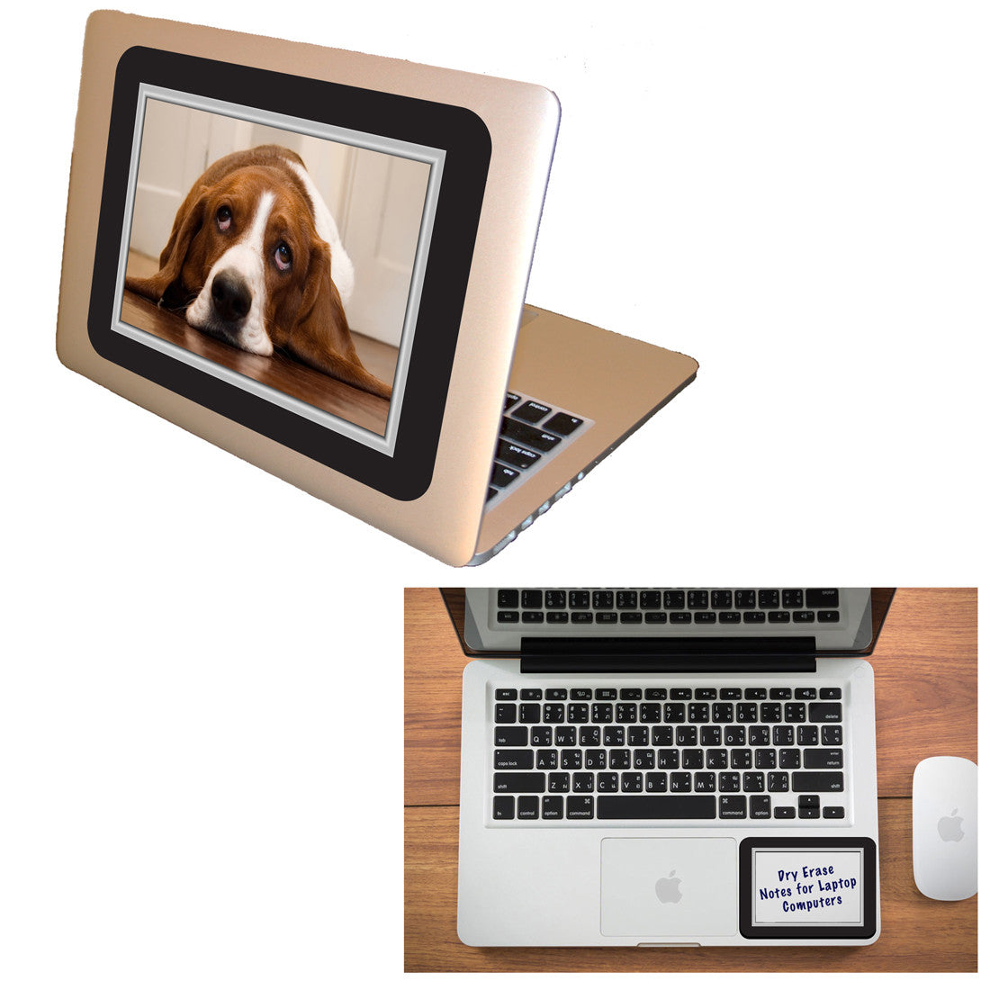 4 x 6 Reusable Adhesive Frames